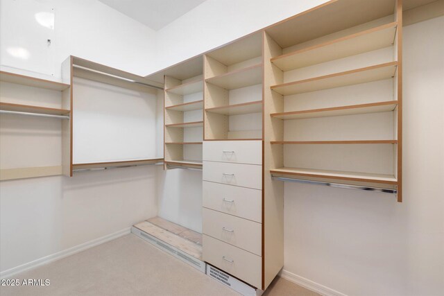 spacious closet with light carpet