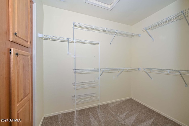 walk in closet with carpet