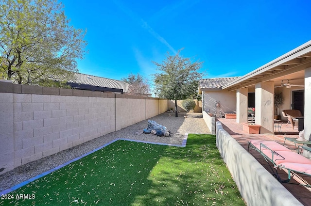 view of yard featuring a patio area