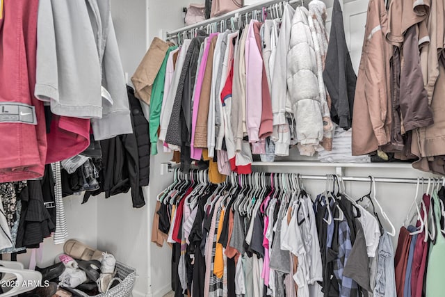 view of spacious closet