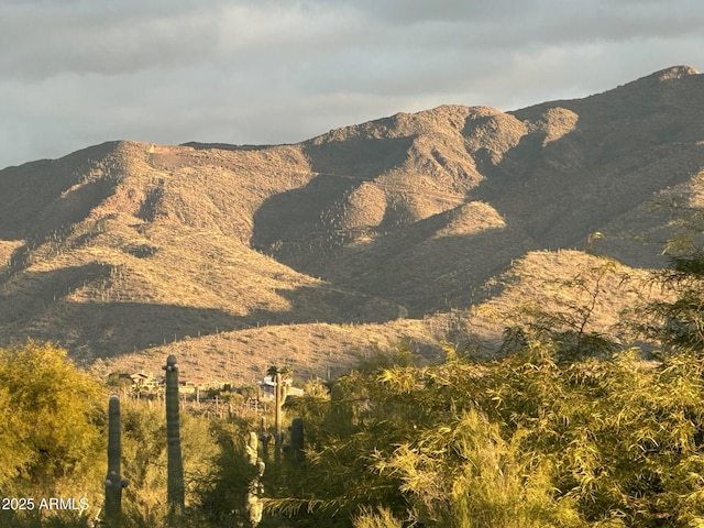 view of mountain feature