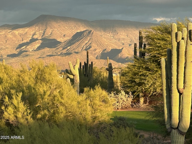 property view of mountains