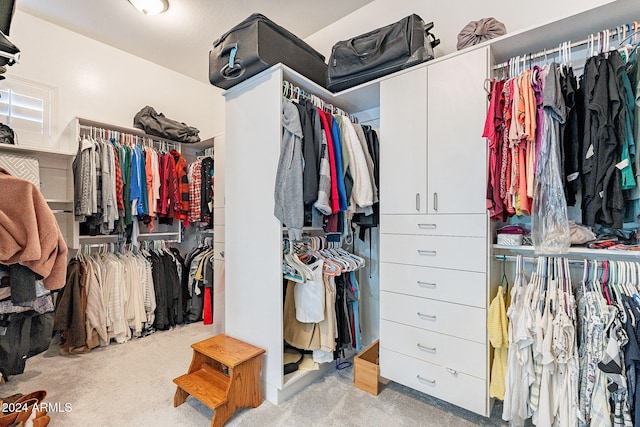 walk in closet with light colored carpet