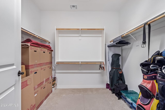 view of spacious closet