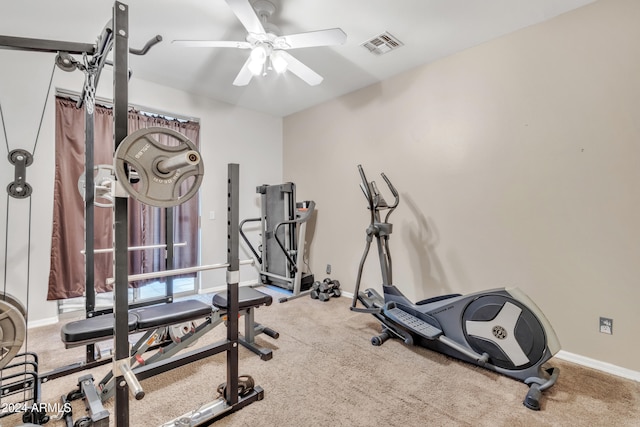 exercise room featuring carpet flooring and ceiling fan