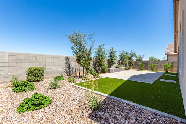 view of yard featuring a patio