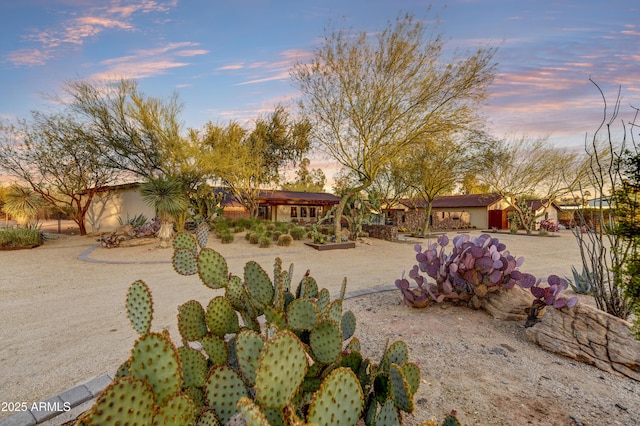 view of ranch-style house