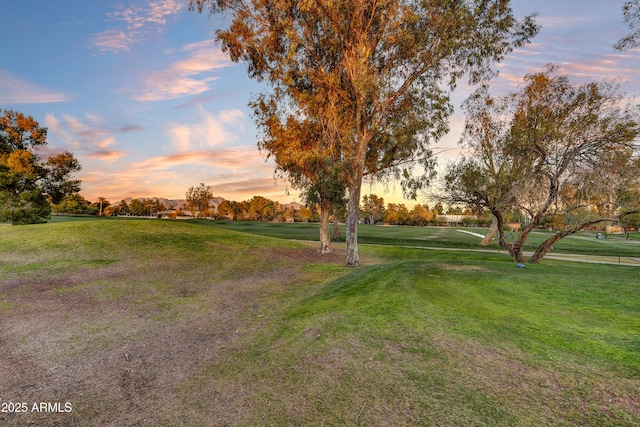 view of yard at dusk