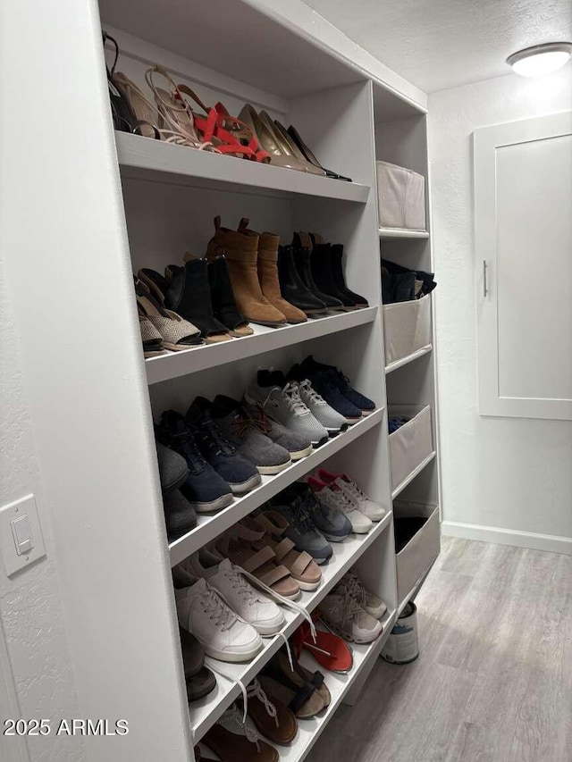 interior space with wood finished floors