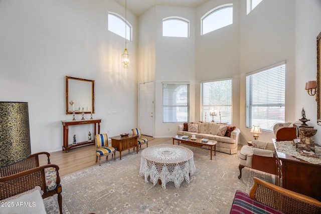 living area featuring baseboards, wood finished floors, and a towering ceiling