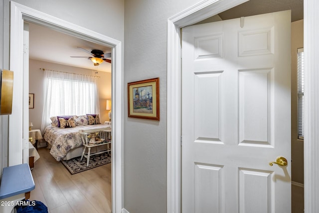 hallway with wood finished floors