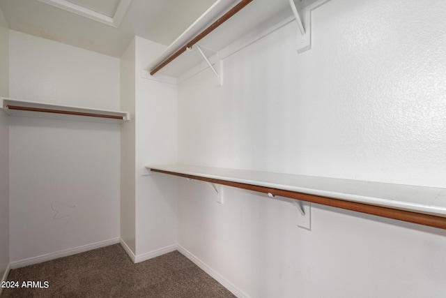 spacious closet with carpet flooring