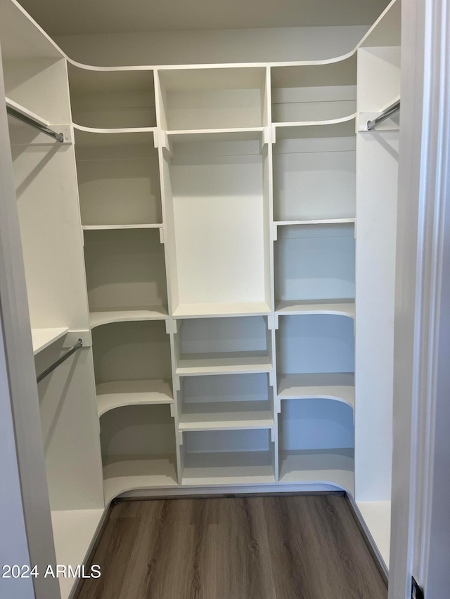 spacious closet featuring dark hardwood / wood-style floors