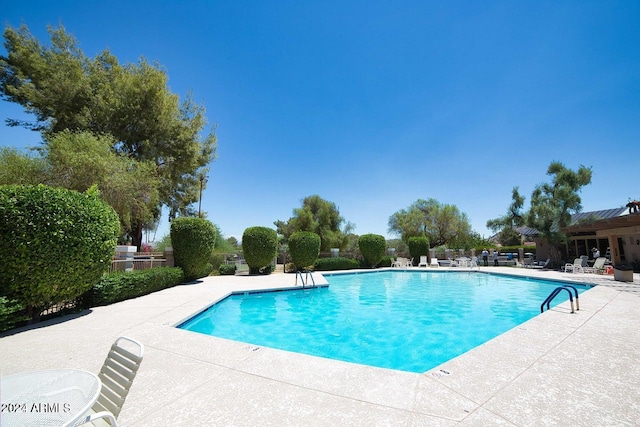 view of swimming pool with a patio