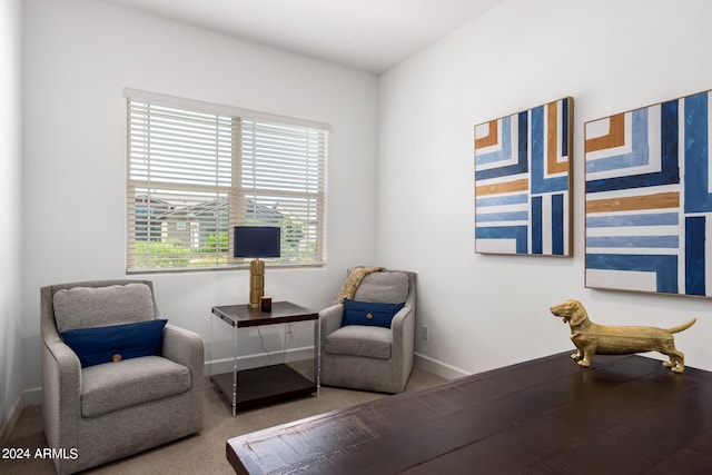 living area featuring carpet flooring