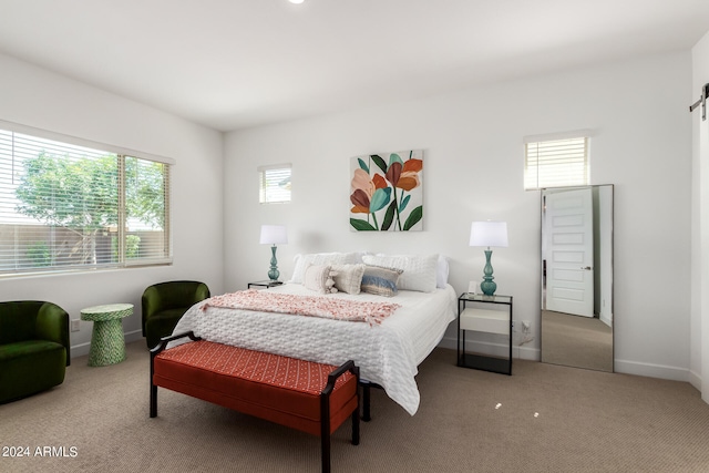 view of carpeted bedroom