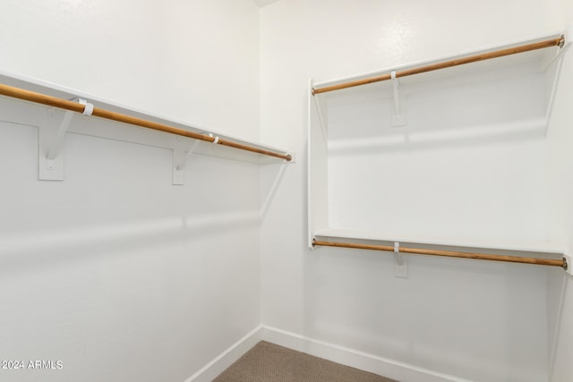 spacious closet featuring carpet