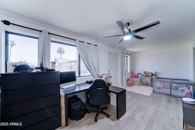 6721 E Mcdowell Rd Unit B309, Scottsdale, AZ 85257 - home office with wood finished floors, crown molding, and ceiling fan