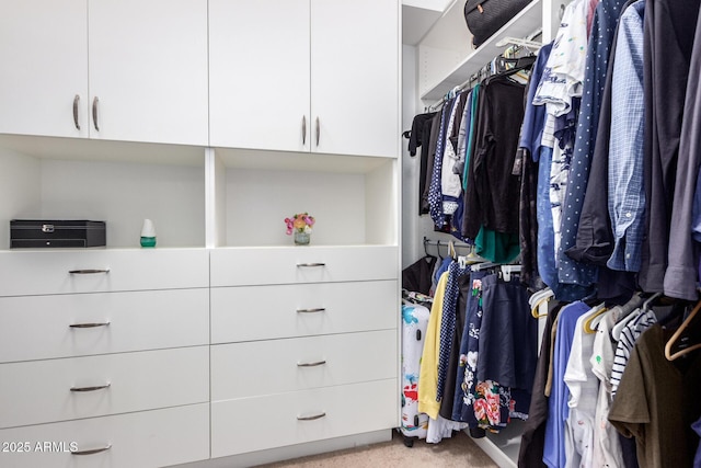 view of walk in closet