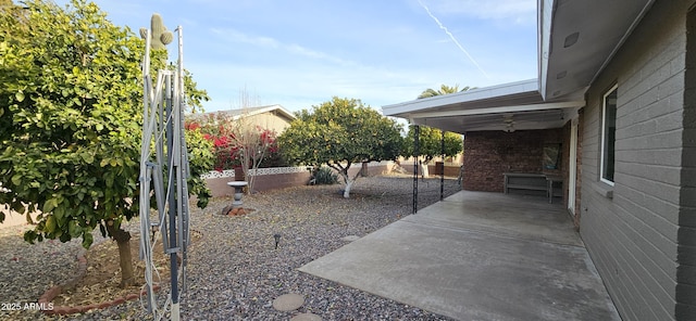 view of yard featuring a patio area