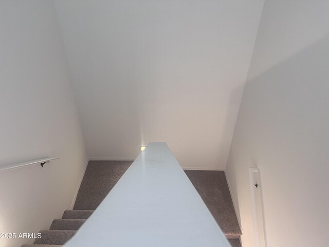 stairway featuring carpet floors and baseboards