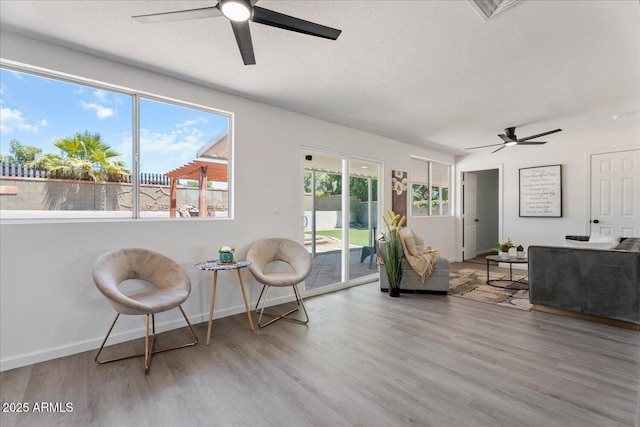 1561 N Sterling St, Mesa, AZ 85207 - living area featuring ceiling fan and wood finished floors