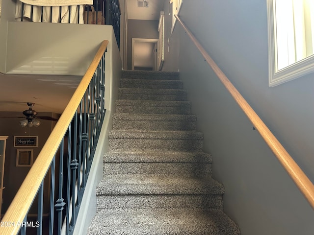 stairway with ceiling fan and carpet flooring