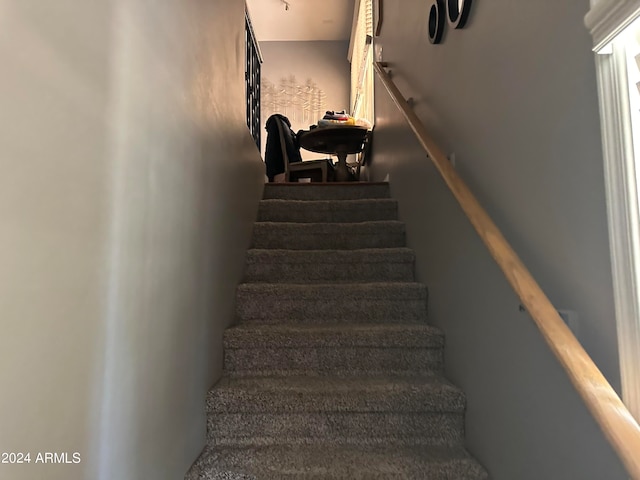 stairway featuring carpet floors