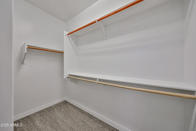 9072 W Myrtle Ave, Glendale, AZ 85305 - walk in closet featuring carpet flooring