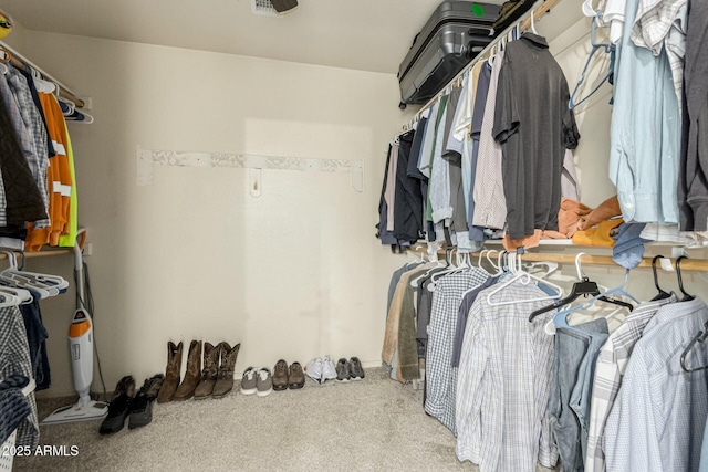 41811 W Avella Dr, Maricopa, AZ 85138 - walk in closet with visible vents and carpet