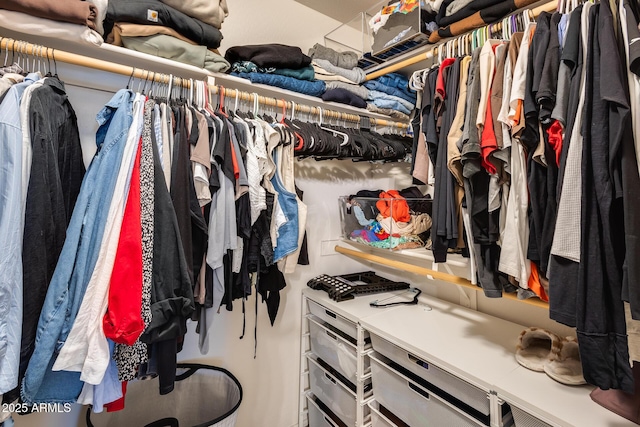 view of walk in closet