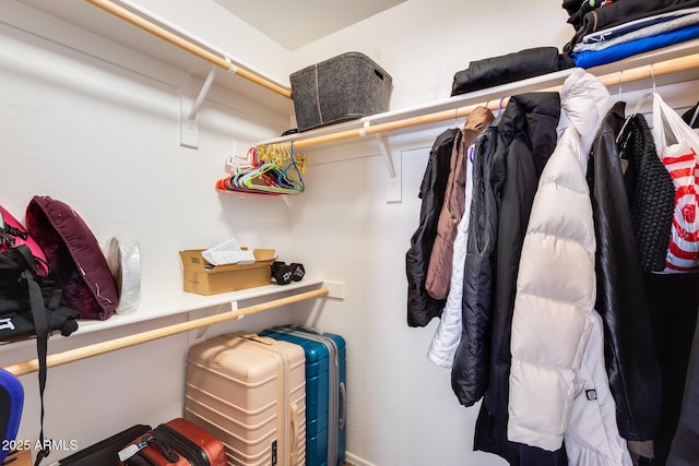 view of walk in closet