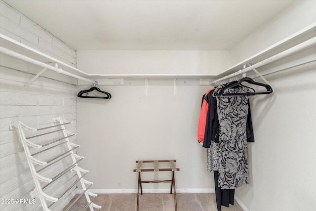 spacious closet with carpet flooring