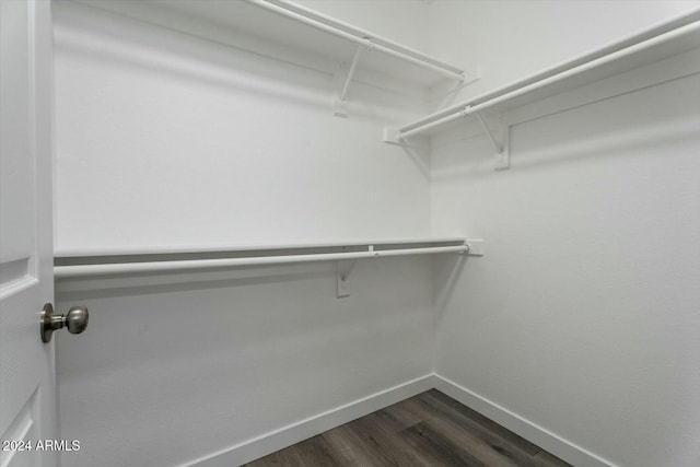 walk in closet featuring dark wood-type flooring