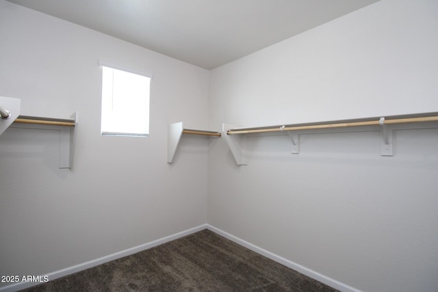 17419 W Via De Luna Dr, Surprise, AZ 85387 - walk in closet featuring carpet