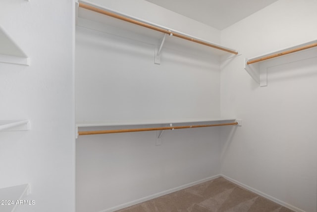 spacious closet featuring carpet