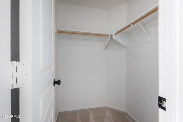 spacious closet with carpet flooring