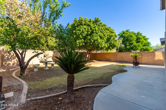 view of yard with a patio