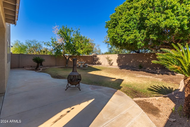 view of yard with a patio