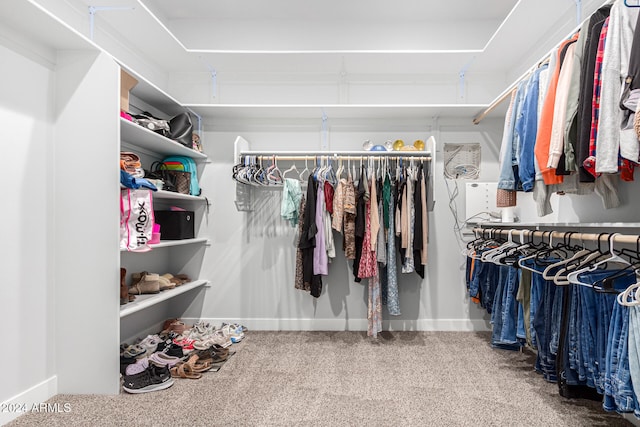 walk in closet with carpet floors