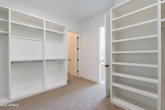 spacious closet with carpet