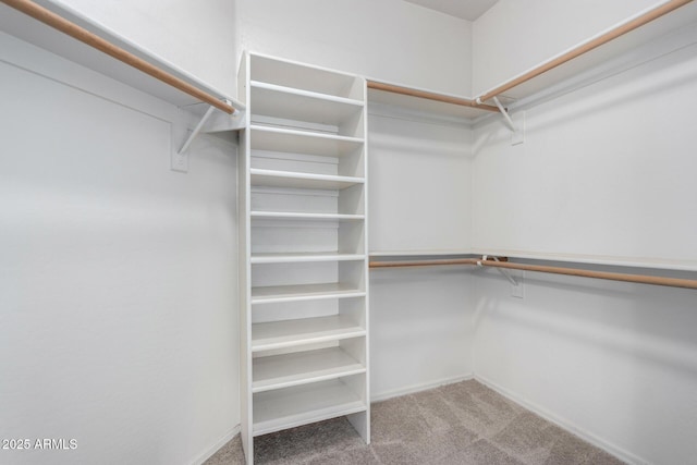 spacious closet featuring light carpet