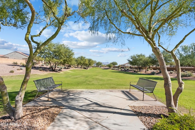 view of community with a lawn