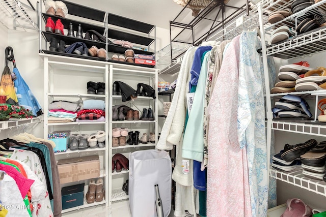 view of walk in closet