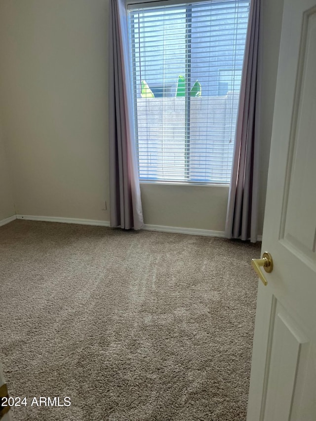 unfurnished room featuring carpet and a healthy amount of sunlight