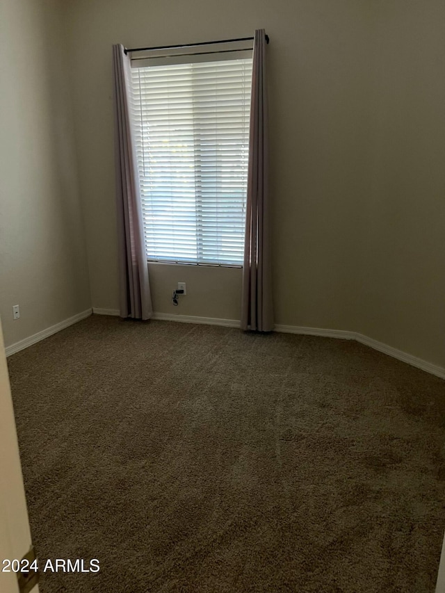 spare room with carpet floors