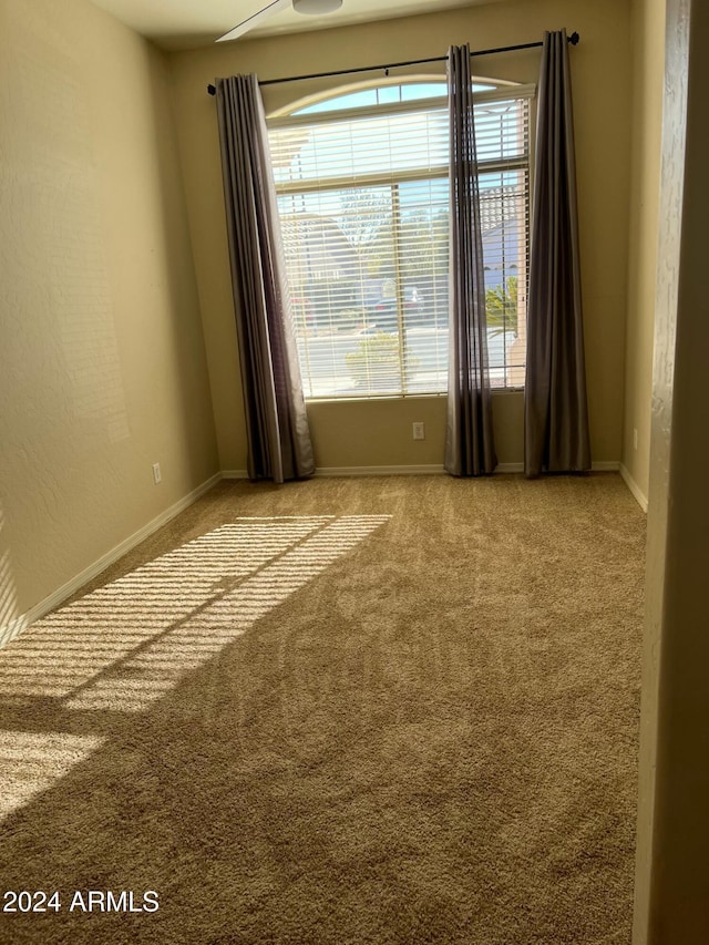 spare room featuring a wealth of natural light and light colored carpet