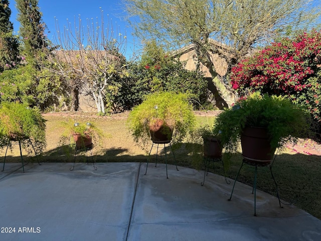 view of yard with a patio area