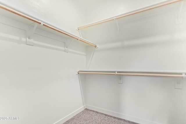 walk in closet with light colored carpet