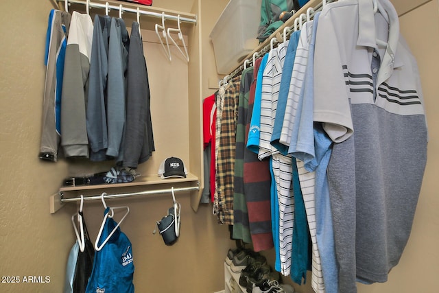 view of spacious closet